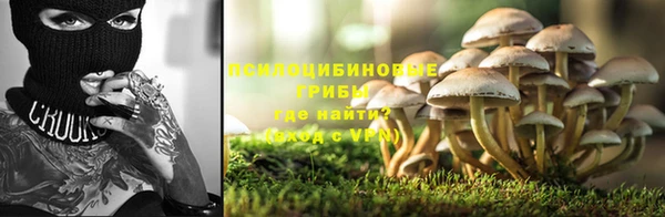 спиды Корсаков
